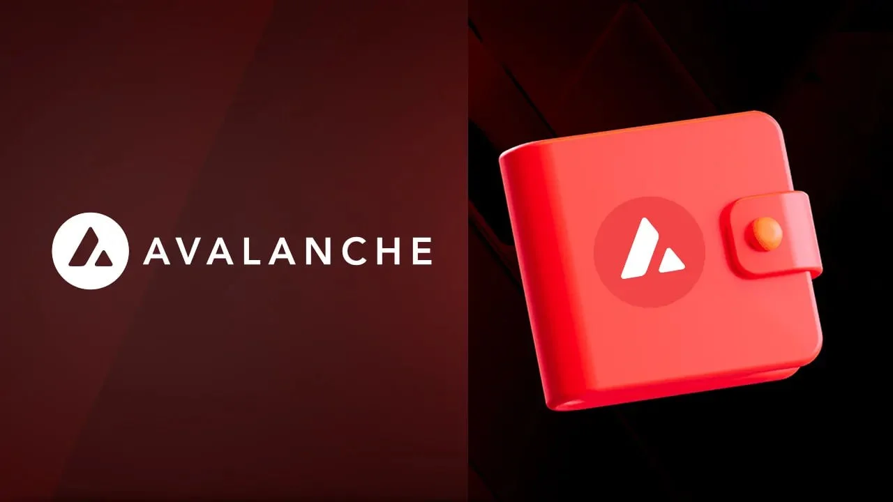 Инфраструктура экосистемы Avalanche